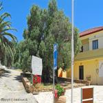 images/Oplevelser/Oliventrae Vouves/Olivetree-i-Vouves-06.jpg